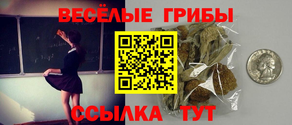 Кизляр  Галлюциногенные грибы Magic Shrooms  Вход с VPN  Галлюциногенные грибы мицелий 