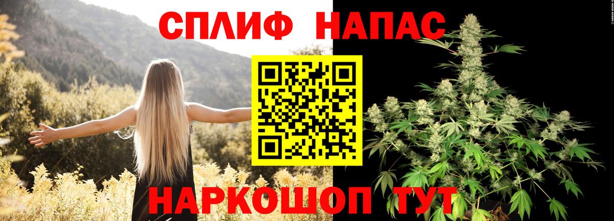 Кизляр  Бошки Шишки план  Вход с VPN  Конопля Bruce Banner  Конопля индика 
